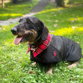 HARRINGTON PERRO ABRIGO IMPERMEABLE CON FORRO